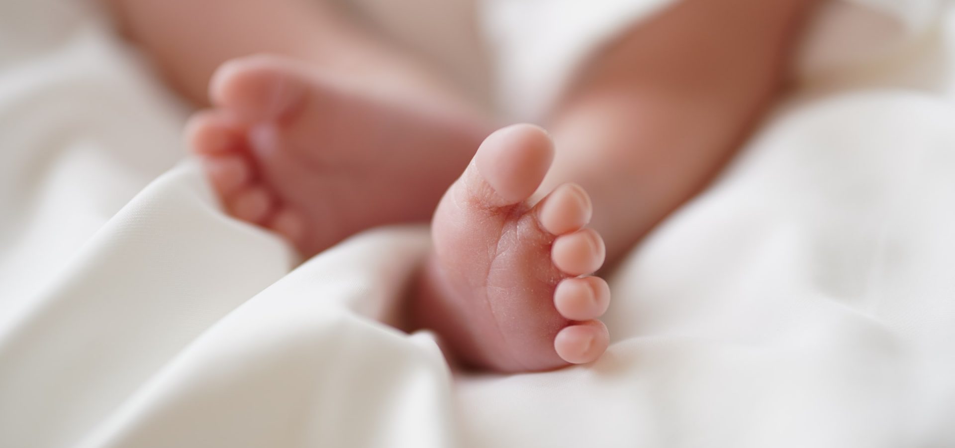 sen-xHfTHzGQ5v4-unsplash